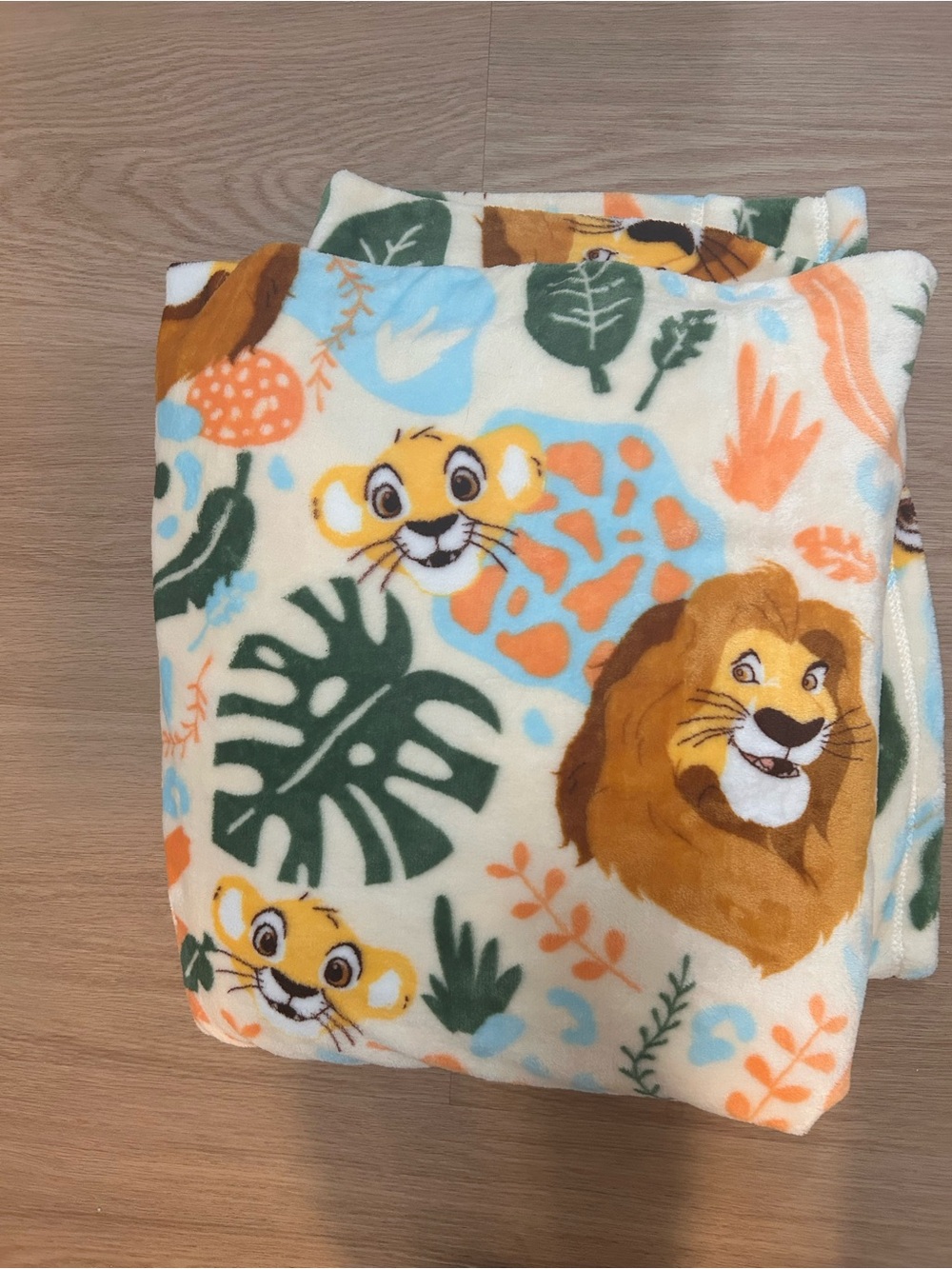 Lion king Blanket.